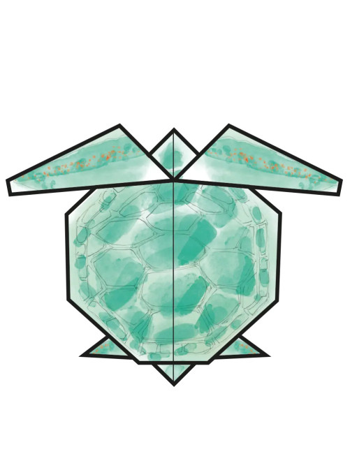 Pack Un verano en tu piel x Aretha Fusté