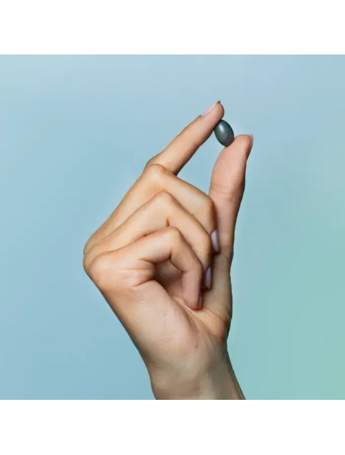 Triphasic Caps Largos