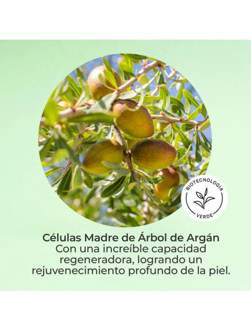 Cofre Antiedad Nutrición Sérum + Crema