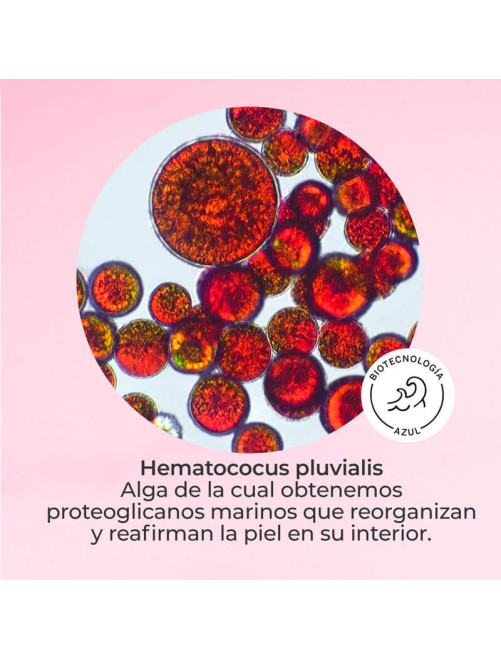 Cofre DMAE Lift 10 Sérum + Crema